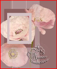 Capturer0 172