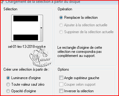 Capturer2 219