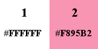 Palette 2 couleurs 21