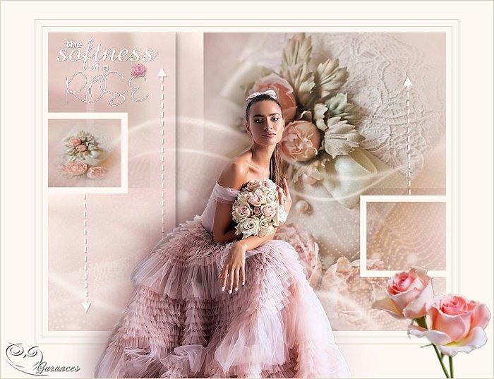 The softnes of rose jpg garances